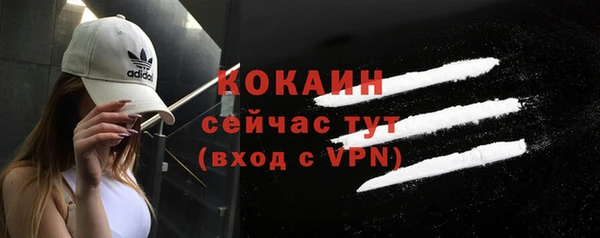 PSILOCYBIN Грязи