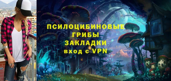 кристаллы Покачи