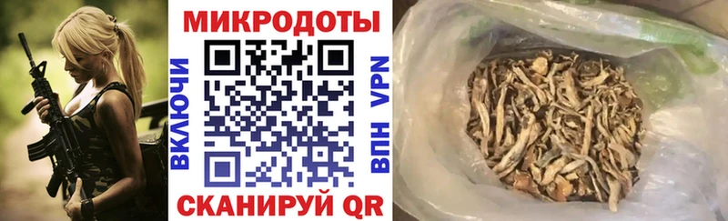 купить   Сосновка  darknet как зайти  Галлюциногенные грибы Cubensis  блэк спрут зеркало 